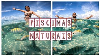 Piscinas Naturais de Barra Grande - Maragogi - Alagoas | Daniele Ferreira | Embarcando na Aventura