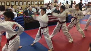 Taekwon Do Forms: Taegeuk