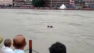 Uttarakhand cop saves man from drowning in Haridwar