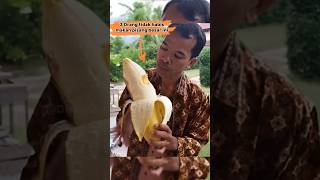 Raja dari segala pisang