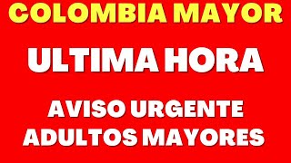 OJO👀💥URGENTE AVISO ADULTOS MAYORES COLOMBIA MAYOR🔥 FECHAS DE PAGO