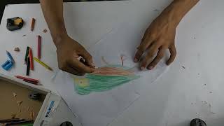 Akta Tota pakhir sobi art kore color korlam color pencil die | Mojibor Art