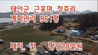 보류[딸기223]근흥면  정죽리 961평 대지와 전 매매 .딸기공인중개사 041.662.0880