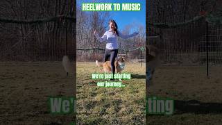 🐕HEELWORK to MUSIC💃🎵 #dogdancing #heel #dogtraining #dogmom #smartdog #dogtricks #cutedog #collie