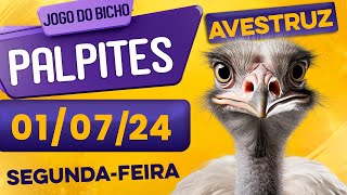 PALPITE DO DIA 01/07/2024 - JOGO DO BICHO 🍀 TODAS AS LOTERIAS 🍀