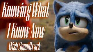 Knowing What I Know Now - Wish Soundtrack || AMV || Sonic The Hedgehog