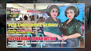 TAYUB TUBAN Nyi Henik & Nyi Supriati Live Dusun Gowah Wetan Desa Prunggahan Kulon Semanding DISC B