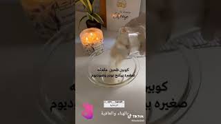 كوكيز هش وطري وسريع التحضير 🍫🍪🍪🍪