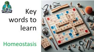 Homeostasis key definitions video