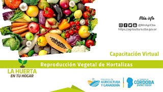 Capacitación Virtual: Reproducción Vegetal de Hortalizas