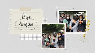 bye anggie