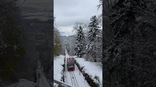 Switzerland. #christmas #snow #beautiful #nature #you #holiday