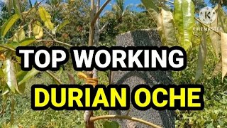 LAKUKANLAH HAL INI AGAR TIDAK MENYESAL || TOP WORKING ‼️