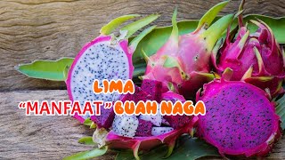 LIMA MANFAAT BUAH NAGA - ROZIKIN SMKN 1 SELONG