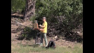 Skimikin Lake Plein Air