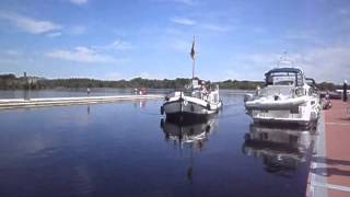 papillon on lough key