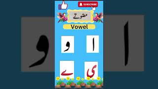 Learn Vowel Urdu Alphabets Easy Alif Bay Pay Haroof e Tahaji Urdu Short Video in Urdu #shorts