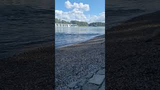 das #rhein #kreuzfahrtschiff  Scenic Opal auf Bergfahrt Teil 2 #shorts #short