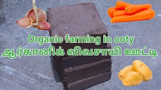 Organic farming in ooty வெற்றிகரமான இயற்கை விவசாயி