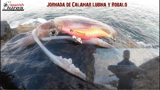 Calamar,lubinas y Robalo