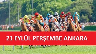 21 EYLÜL 2023 PERŞEMBE ANKARA AT YARIŞI TAHMİNLERİ VE YORUMLARI