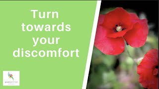 Turn towards your discomfort