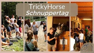 Tag der Offenen Türe - Pferdeausbildungs Zentrum -TrickyHorse Trainingscenter