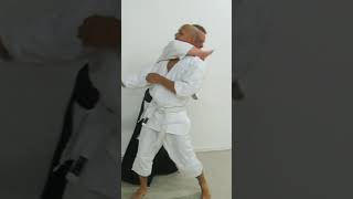 Aikido techniques against kicks, GERI, by Stefan Stenudd in 2010