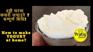 दही घरमा कसरी बनाउने ? सम्पूर्ण बिधि! How to make yogurt at home? Pratiq Channel