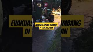 evakuasi pohon tumbang #pohontumbang #evakuasi #mobiloffroad