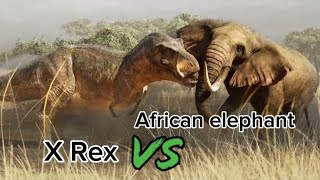 T-Rex vs African Elephant | Animated #dinosaur