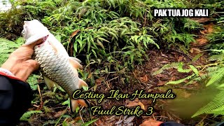 CESTING IKAN HAMPALA FUUL STRIKE 3