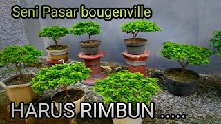 Bougenville Rimbun idaman Emak emak dan Memahami Bunga Alami dan Bunga hasil proses