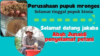 tak lagi pusing selamat tinggal pupuk kimia|| selamat datang jakaba