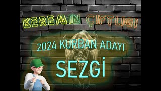 Keremin Çiftliği 2024 Kurbanlık Büyükbaş Sezgi - SATILDI