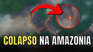 O COLAPSO do Meio Ambiente no Brasil: Revelando a CRISE e Iniciando a MUDANÇA