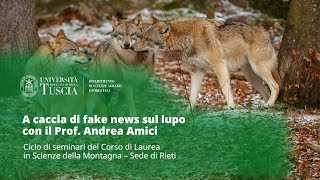 🖥️ WEBINAR | A CACCIA DI FAKE NEWS SUL LUPO CON IL PROF. ANDREA AMICI