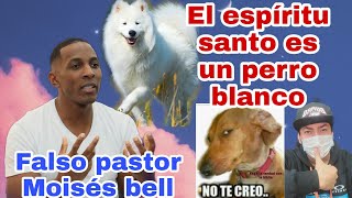 El espíritu santo ahora es un perro blanco, Moisés bell.