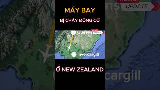 Máy bay bị cháy động cơ nghi do va phải chim #shorts #tintuc #tinthoisu #tintuc24h #baomoi