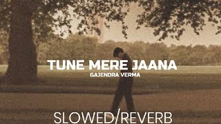 Tune Mere jaana•|| Gajendra Verma•|| Slowed/Reverb