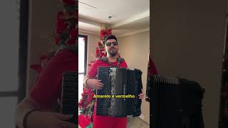 (PARTE 2) Então é Natal (Happy Xmas - War Is Over) na sanfona e na minha voz! 🪗