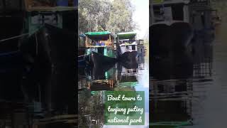 tanjung puting national park | boat tour | 4 Oktober 2022