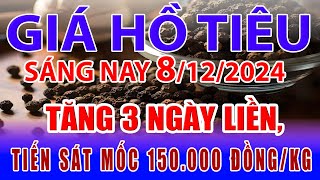 Giá tiêu hôm nay 8/12: tăng 3 ngày liền, tiến sát mốc 150 000 đồng/kg