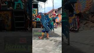 Tari Burung Garuda Jaranan Sastro Jendro Hayuningrat live Silirkrombang #shorts