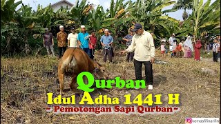 Qurban Idul Adha 1414 H