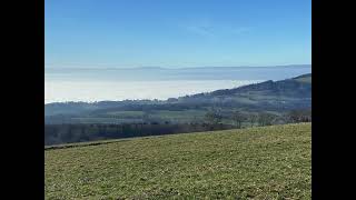 Une Balade en conscience dans la nature