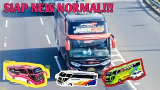 NEW NORMAL!!! KEMBALI NYA BUS-BUS AKAP MERAMAIKAN JALANAN...