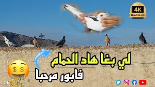 لي بغا هاد الحمام فابور مرحبا خوتي العزاز وشكرا على مروركم الجميل 🙏🙏