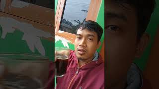 pagi ta ngopi muka mau tumpah alias jatuh|Yanto gemblung#shorts