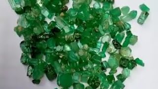 emerald somali group gemeston